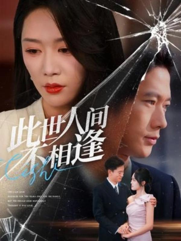 短剧此世人间不相逢海报