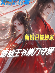 新婚日被抄家，断袖王爷横刀夺爱 cover