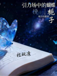 引力场中的蝴蝶 cover