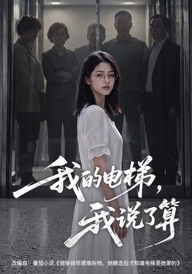 我的电梯，我说了算封面