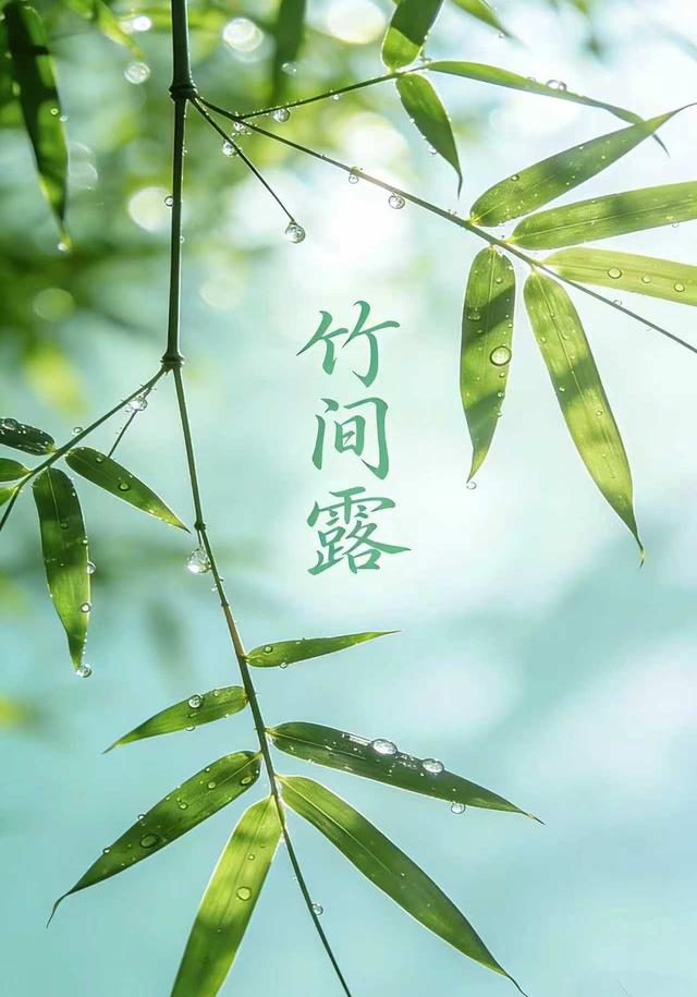 竹间露