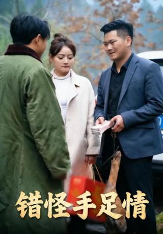 错怪手足情封面图