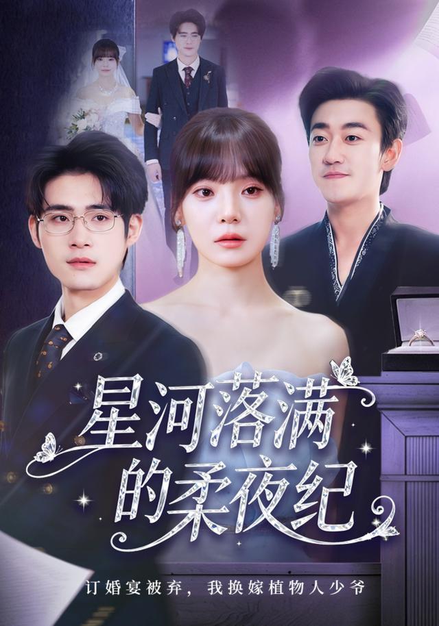 星河落满的柔夜纪