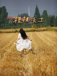 根植沃土 cover