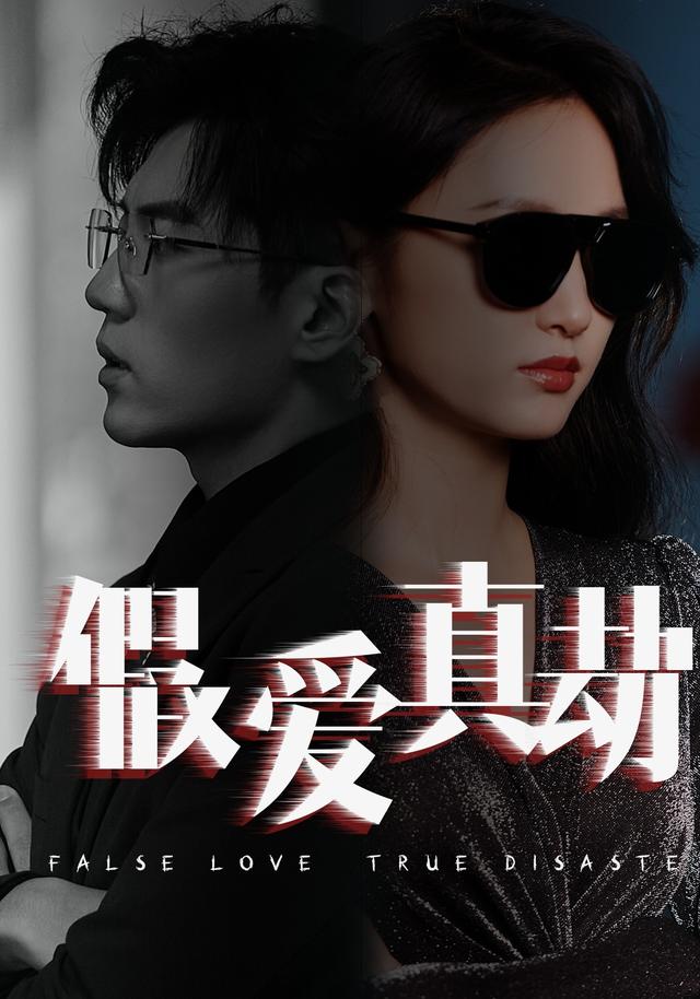 假爱真劫
