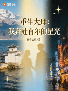 重生大理：我奔赴首尔的星光 cover
