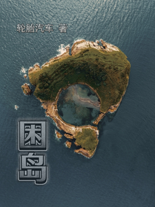 困岛 cover