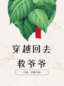 回家过年之穿越回去救爷爷 cover