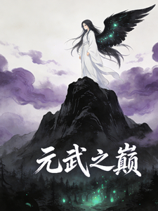 元武之巅 cover