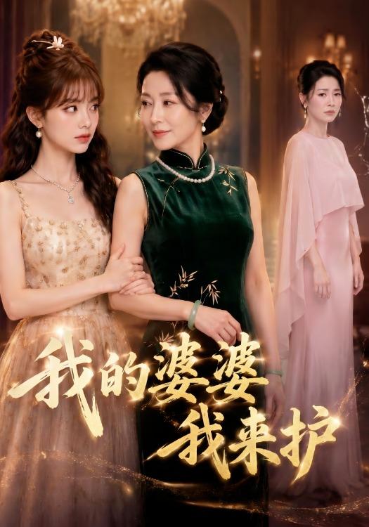 我的婆婆我来护 cover