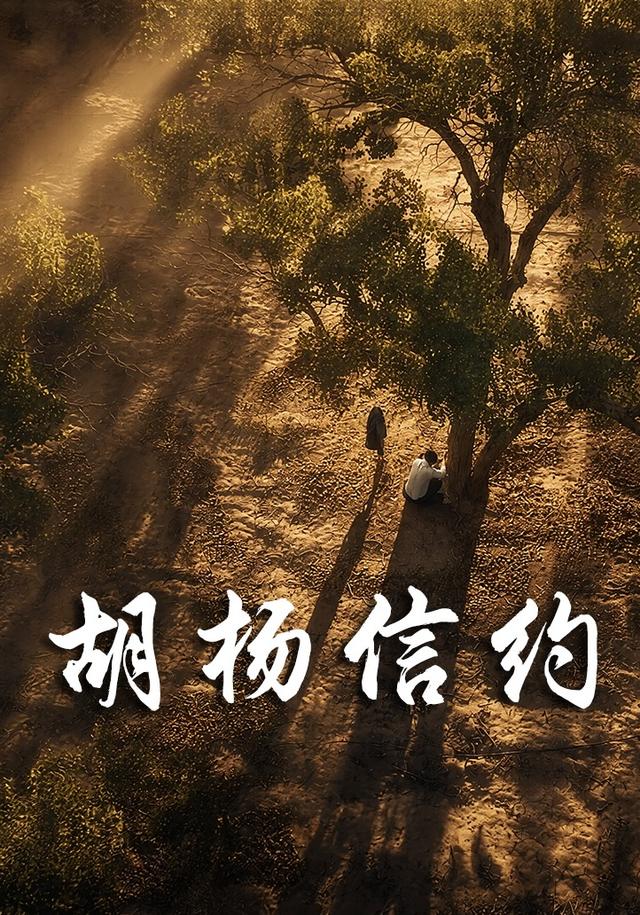 胡杨信约