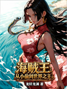 海贼王：从小偷到世界之主 cover