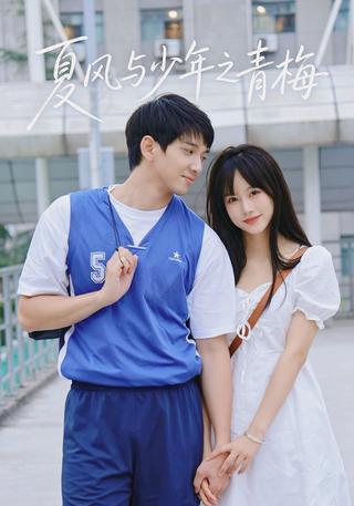 夏风与少年之青梅封面图