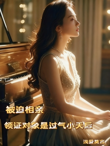 被迫相亲，领证对象是过气小天后 cover