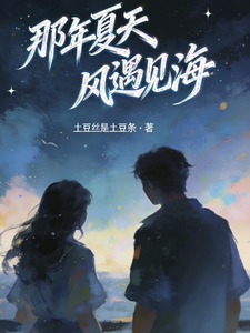 那年夏天风遇见海 cover