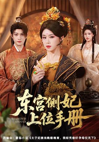 东宫侧妃上位手册封面图