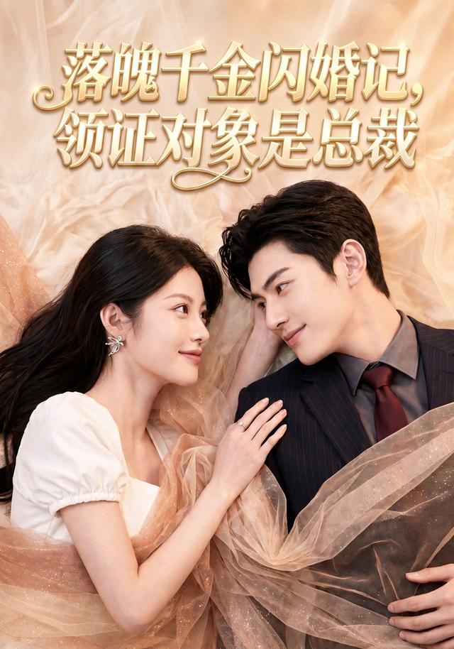 落魄千金闪婚记，领证对象是总裁 cover