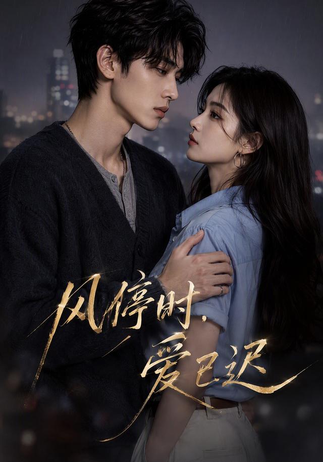 风停时，爱已迟 cover