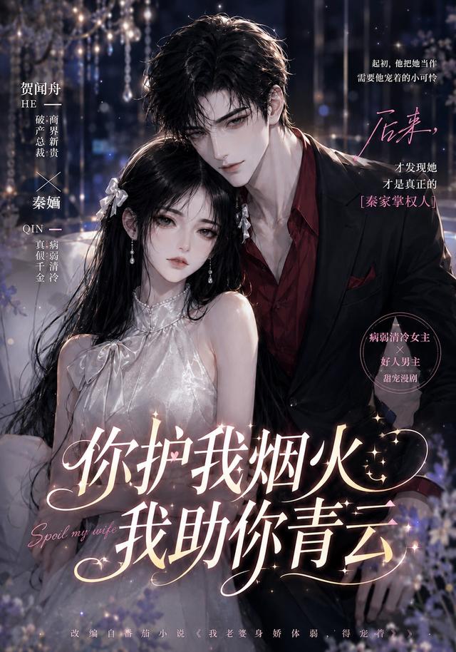 你护我烟火，我助你青云 cover