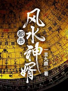 都市风水神婿 cover