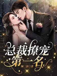 总裁撩宠第一名 cover