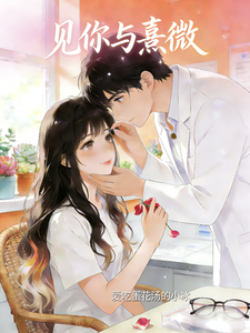 见你与熹微 cover