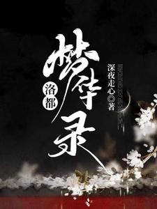 洛都梦华录 cover