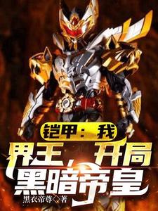 铠甲：我，界王，开局黑暗帝皇 cover