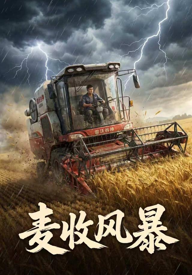 麦收风暴 cover
