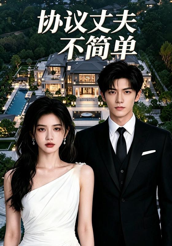 协议丈夫不简单 cover