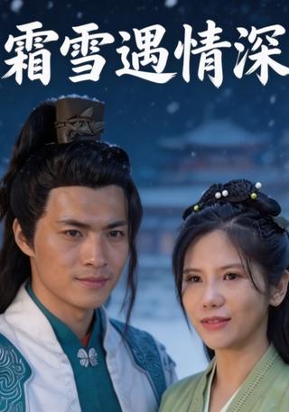 霜雪遇情深封面图