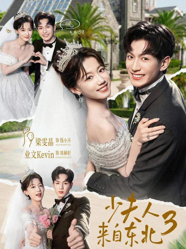 短剧《少夫人来自东北3》海报