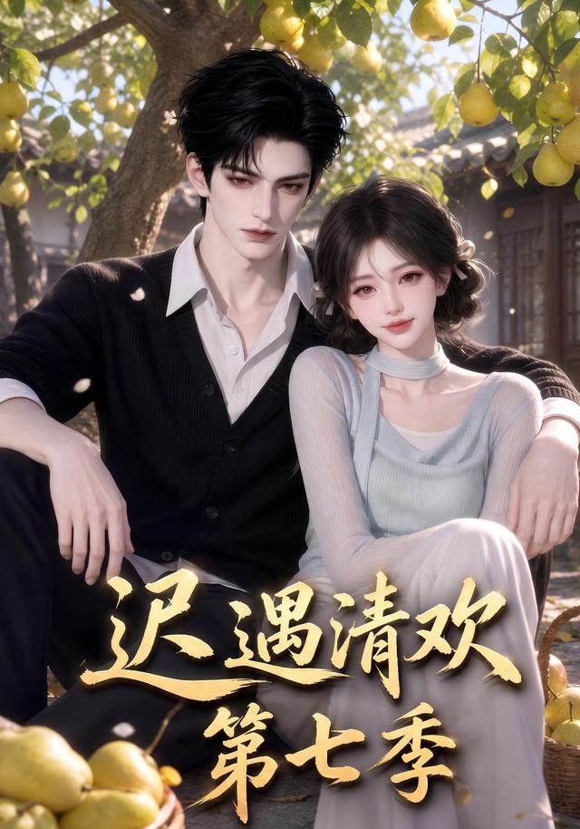 迟遇清欢第七季
