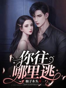 你往哪里逃 cover