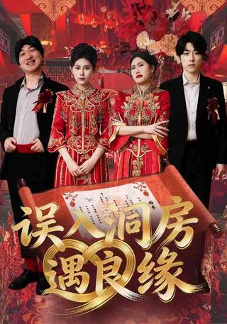 误入洞房遇良缘封面图