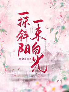 一抹斜阳一束白光 cover