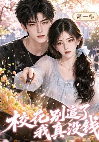 校花别追了我真没钱第一季 cover