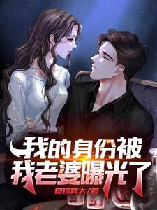 我的身份被我老婆曝光了 cover