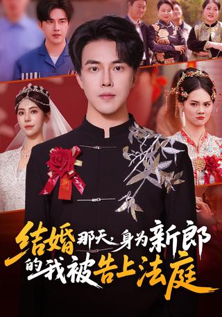 结婚那天身为新郎的我被告上法庭封面图