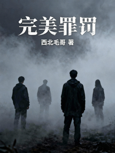 完美罪罚 cover