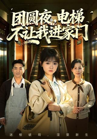 团圆夜电梯不让我进家门封面图