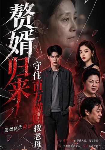 赘婿归来：守住百万横财救老母 cover