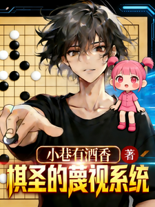 棋圣的蔑视系统 cover