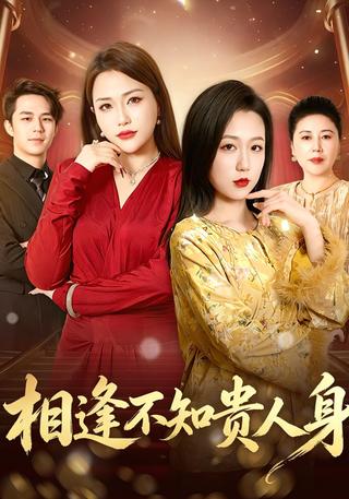 相逢不知贵人身封面图