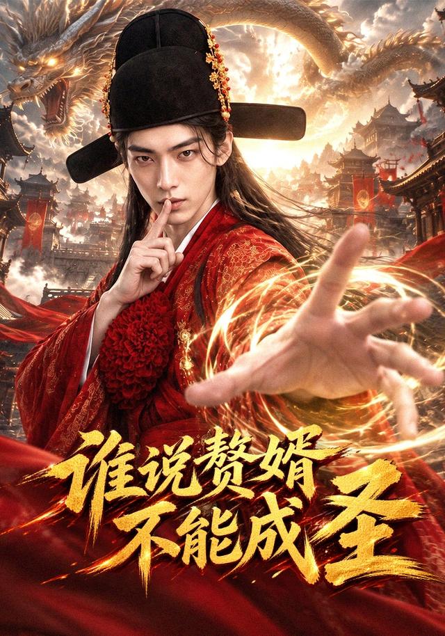 谁说赘婿不能成圣封面