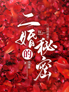 The Secret of a Second Marriage cover