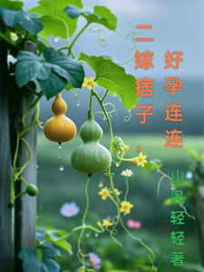 二嫁痞子，好孕连连 cover