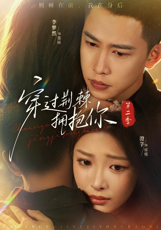 穿过荆棘拥抱你第二季 海报