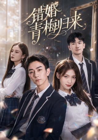 错婚青梅归来封面图