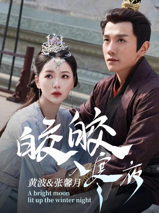 皎皎入寒夜